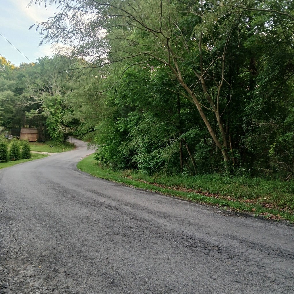 Tr. 2 Raven Cliff Road