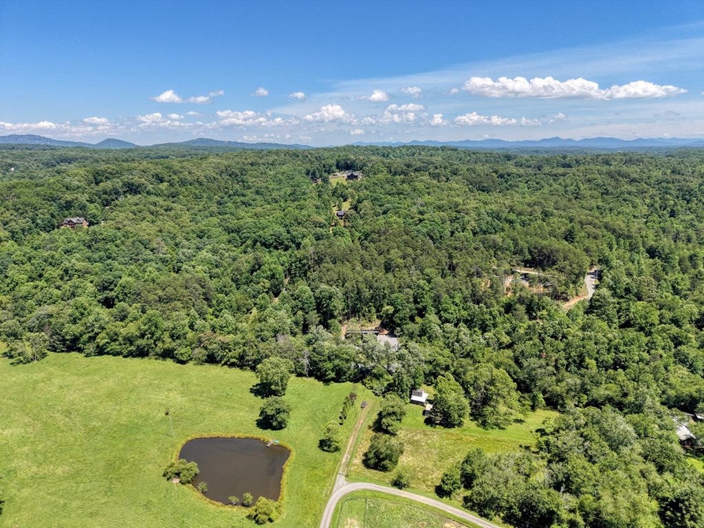 500 S Williamstown Rd, Mineral Bluff, GA, 30559, USA, 4 Bedrooms Bedrooms, ,4 BathroomsBathrooms,Residential,Active,500 S Williamstown Rd,431698