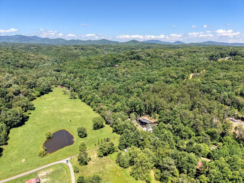 500 S Williamstown Rd, Mineral Bluff, GA, 30559, USA, 4 Bedrooms Bedrooms, ,4 BathroomsBathrooms,Residential,Active,500 S Williamstown Rd,431698