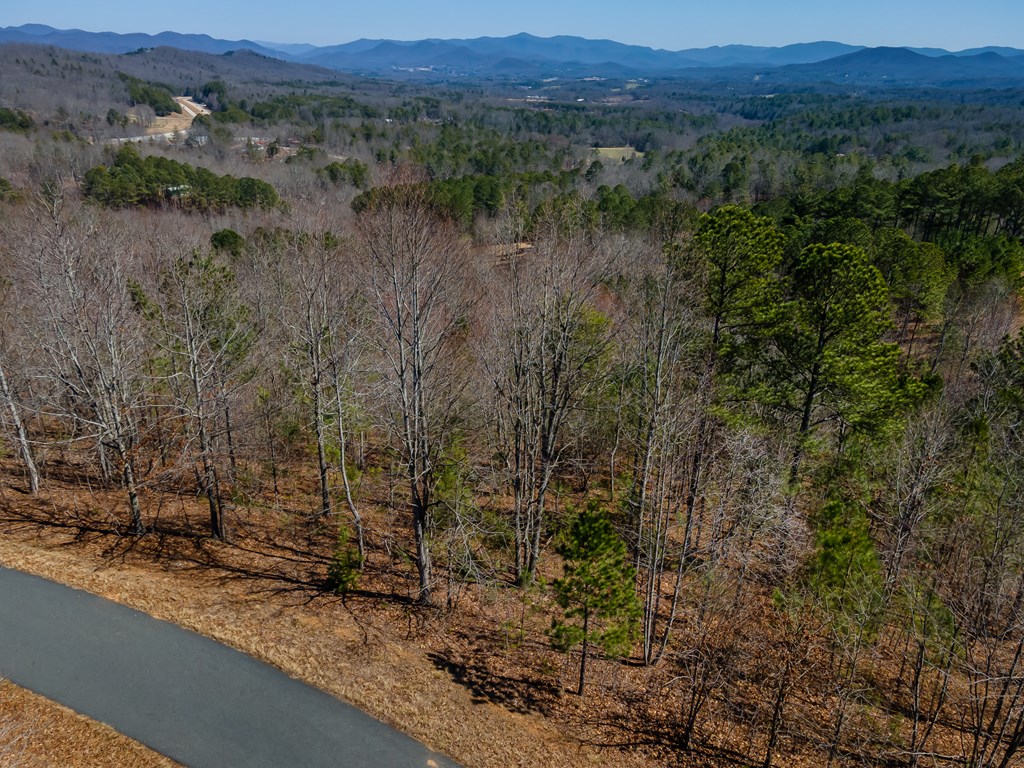 Lot 39 The Hills At Queens Gap