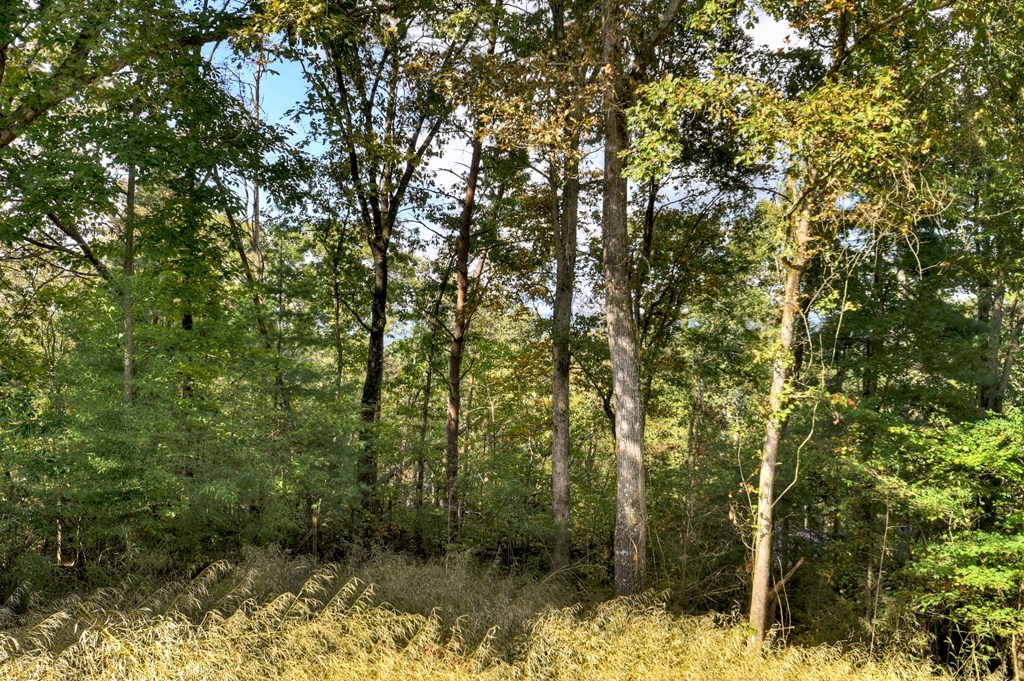 216 Pleasant Gap Road