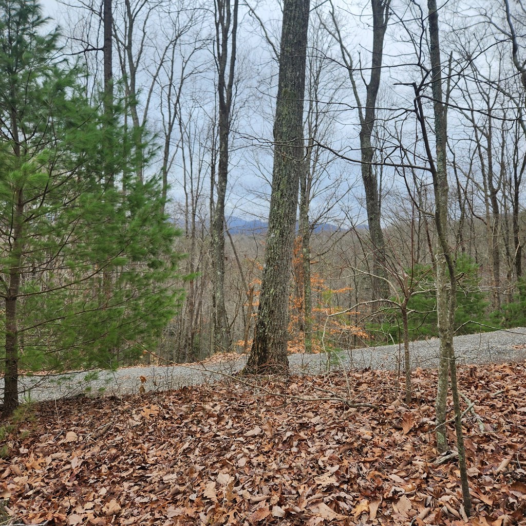 Off Mountain Ridge Road