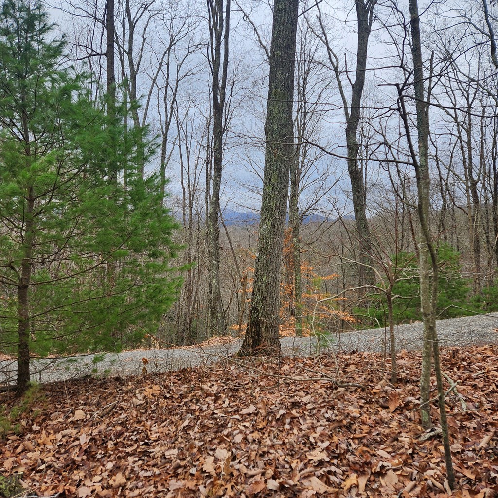 Off Mountain Ridge Road