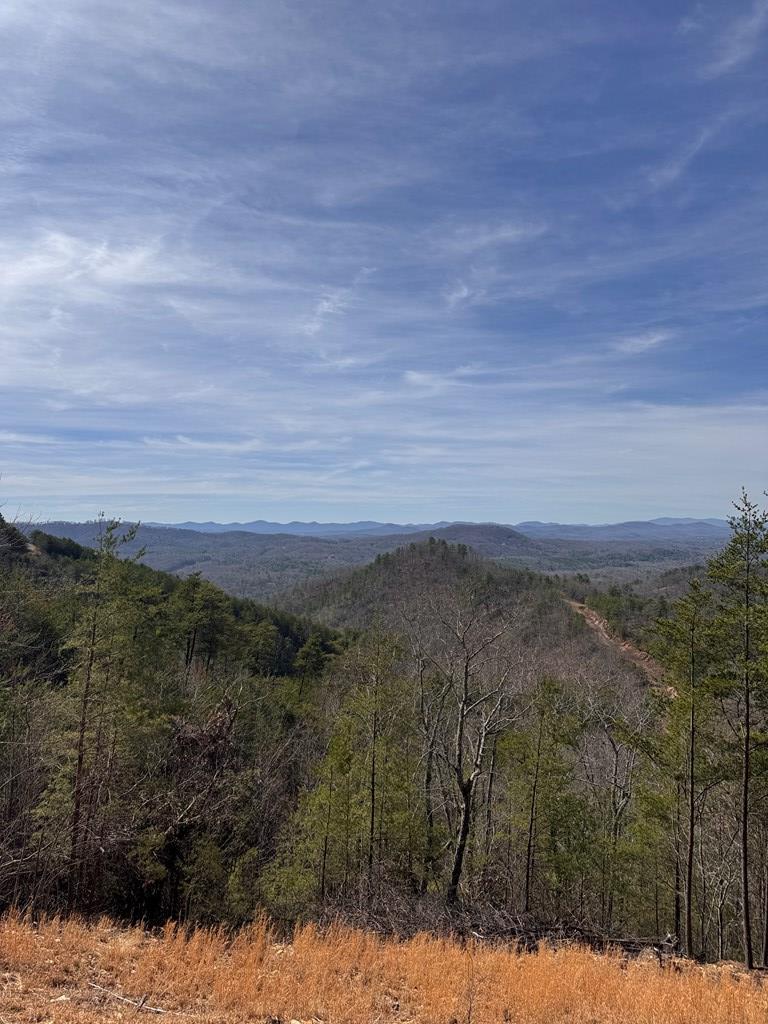 Lt 35 Crested Eagle Lane