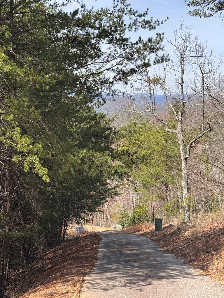 Lt 35 Crested Eagle Lane