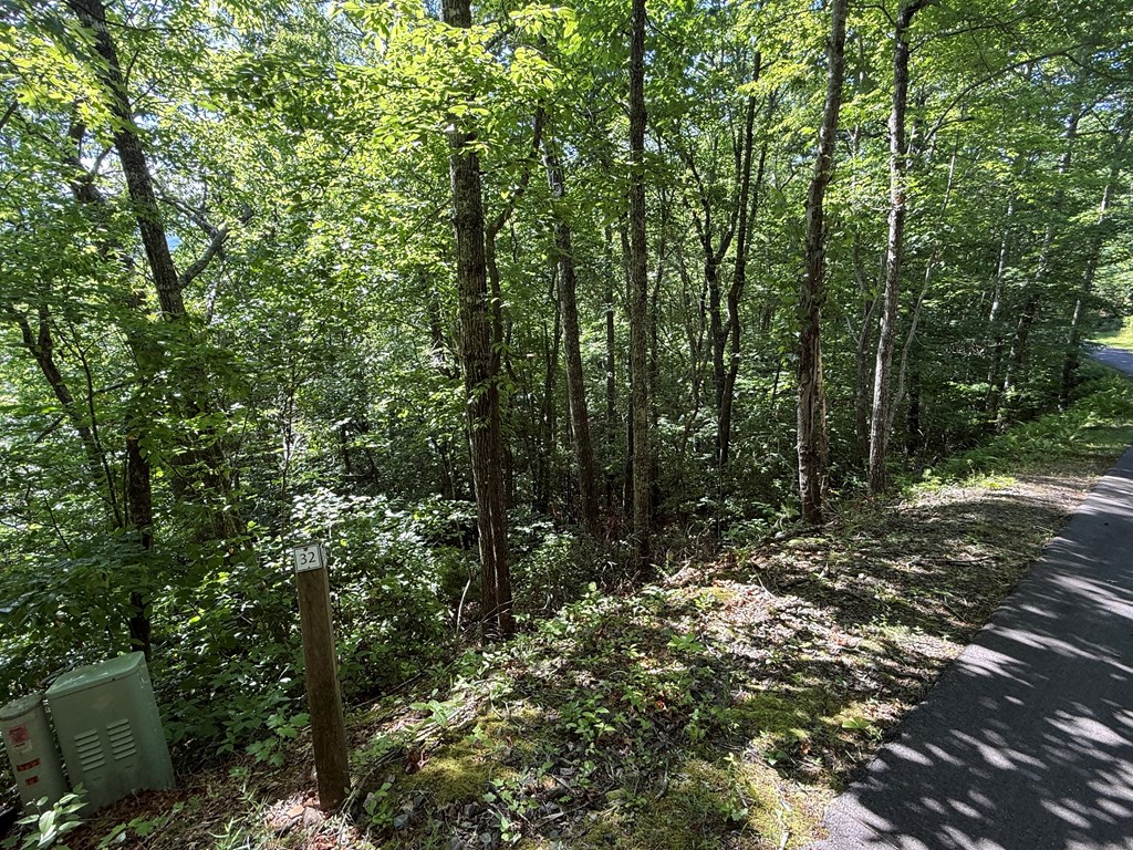 Lot 33 Fodder Creek Mill Drive