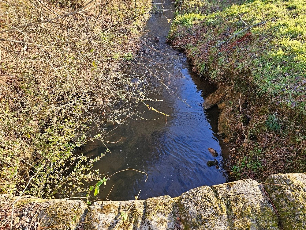 Lot 21 Broadleaf Lane