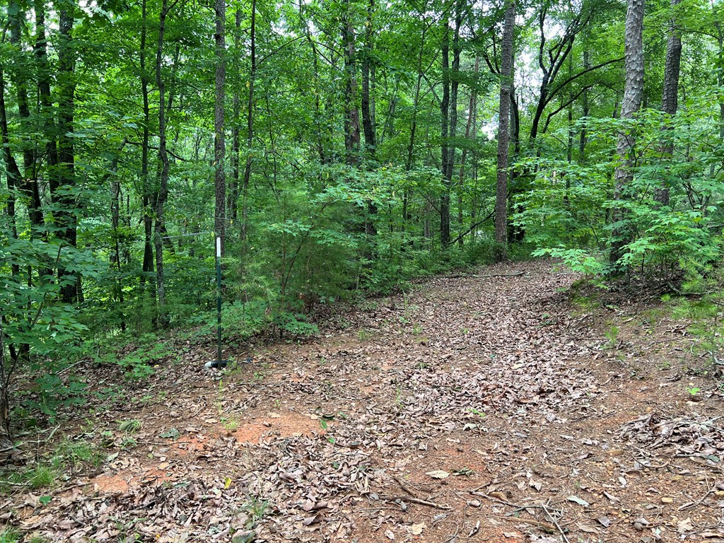 198 Log Round Mountain Trail