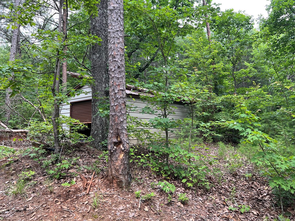 198 Log Round Mountain Trail