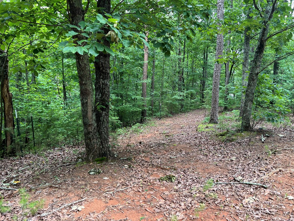 198 Log Round Mountain Trail