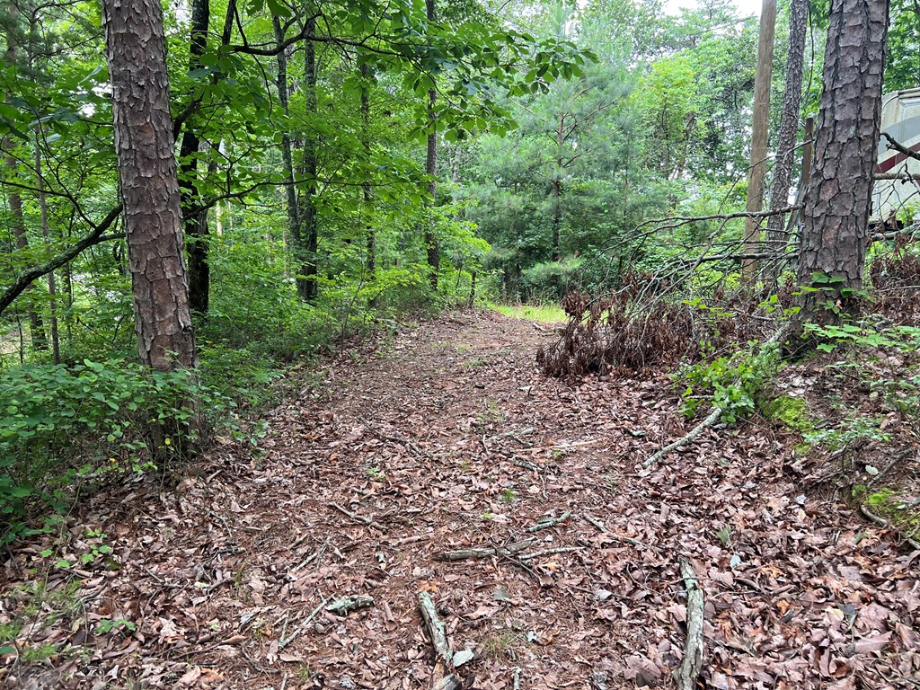 198 Log Round Mountain Trail