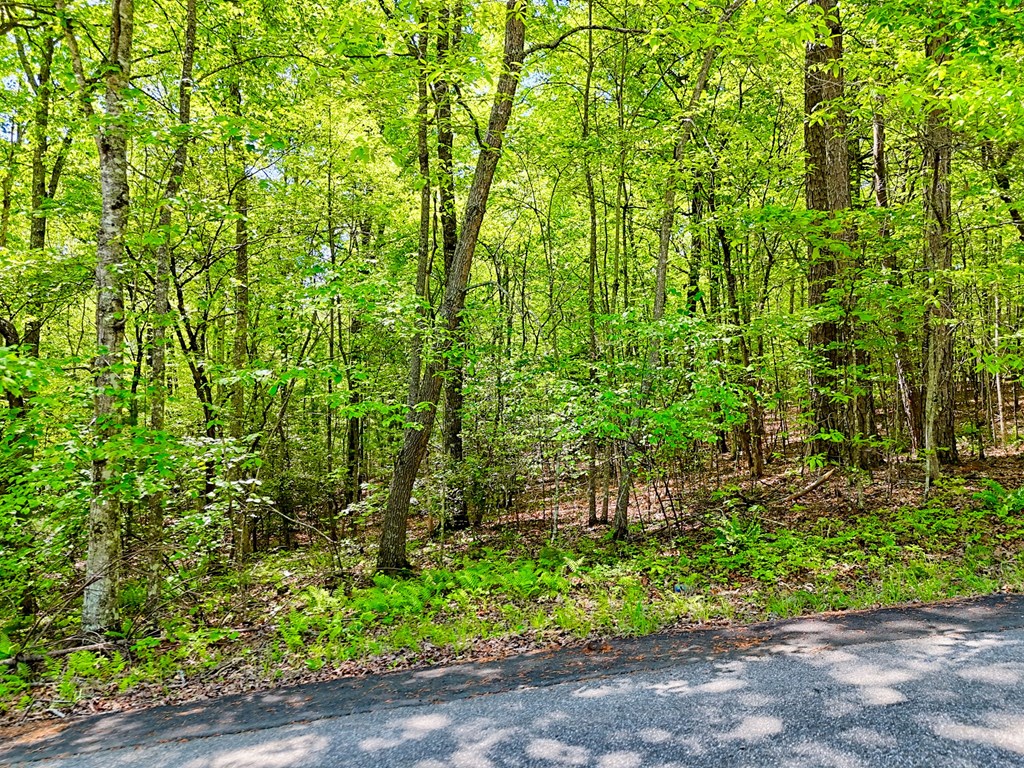 Lots 3,5 Cozy Cove Road