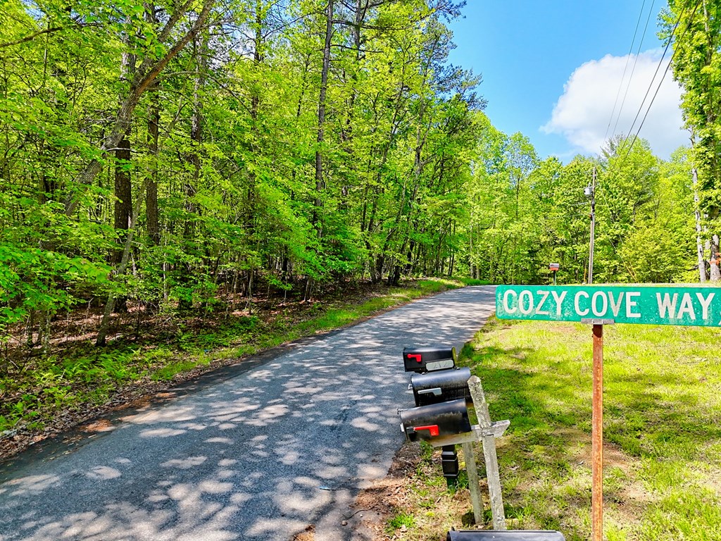 Lots 3,5 Cozy Cove Road