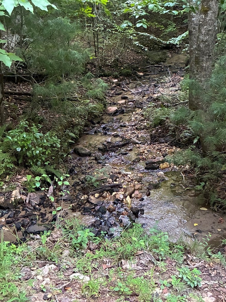 50+/- Pickelsimer Road