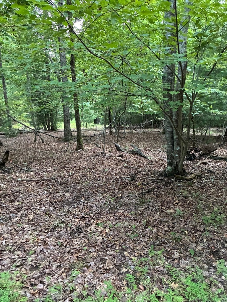 50+/- Pickelsimer Road