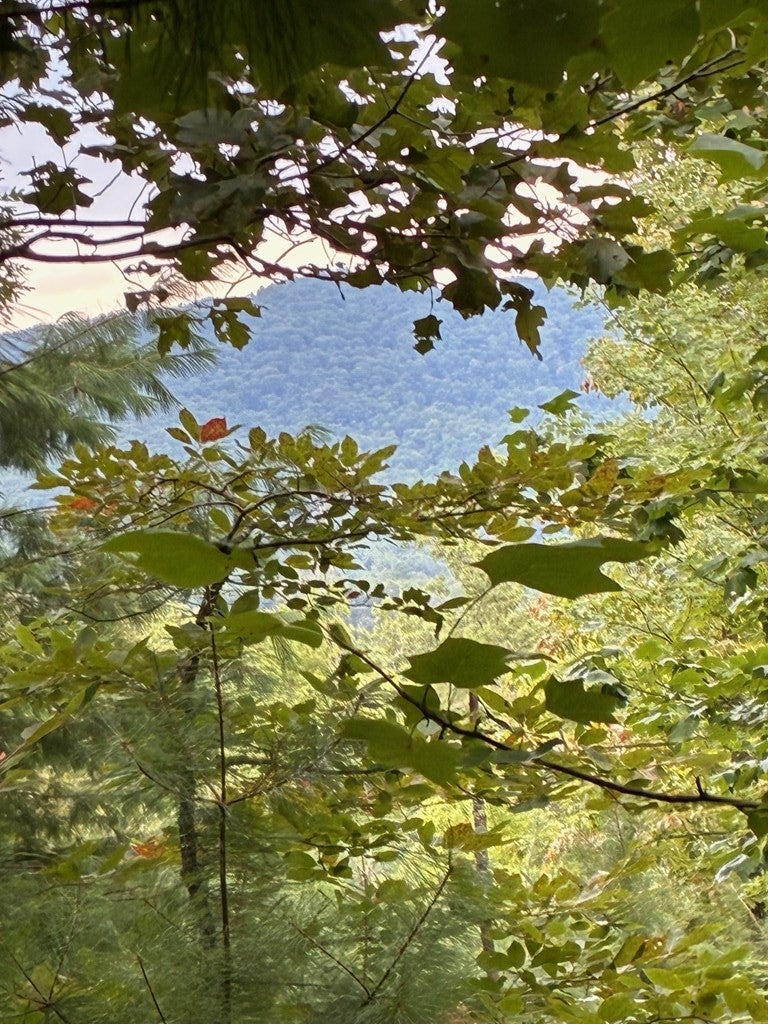 50+/- Pickelsimer Road