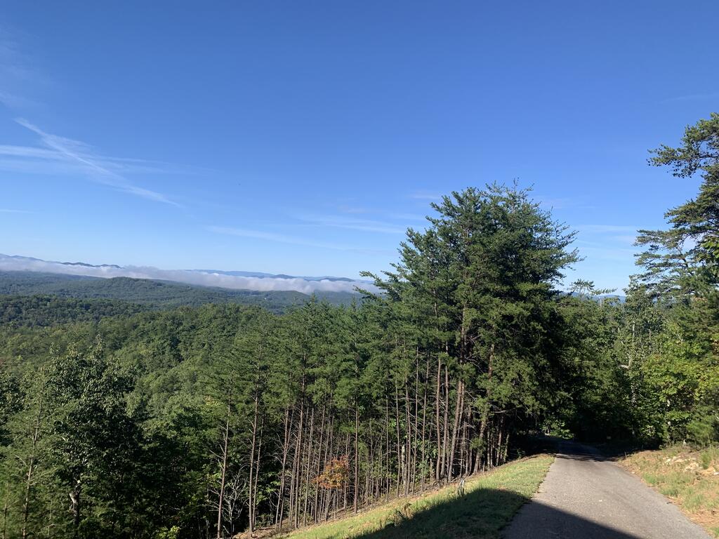 94 River Mountain Road