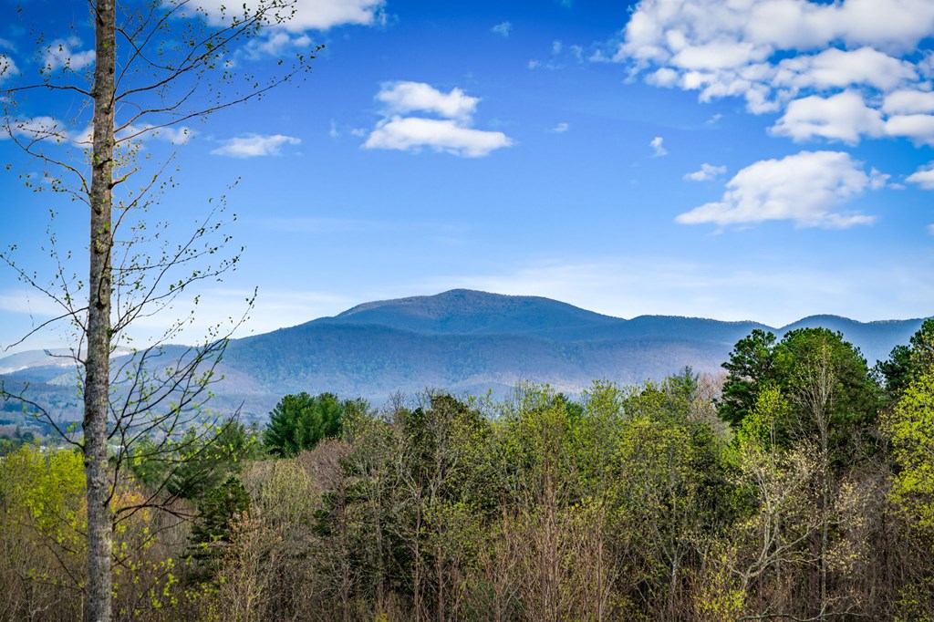 Blairsville, Georgia, 30513, United States, 4 Bedrooms Bedrooms, ,5 BathroomsBathrooms,Residential,Active,2035637