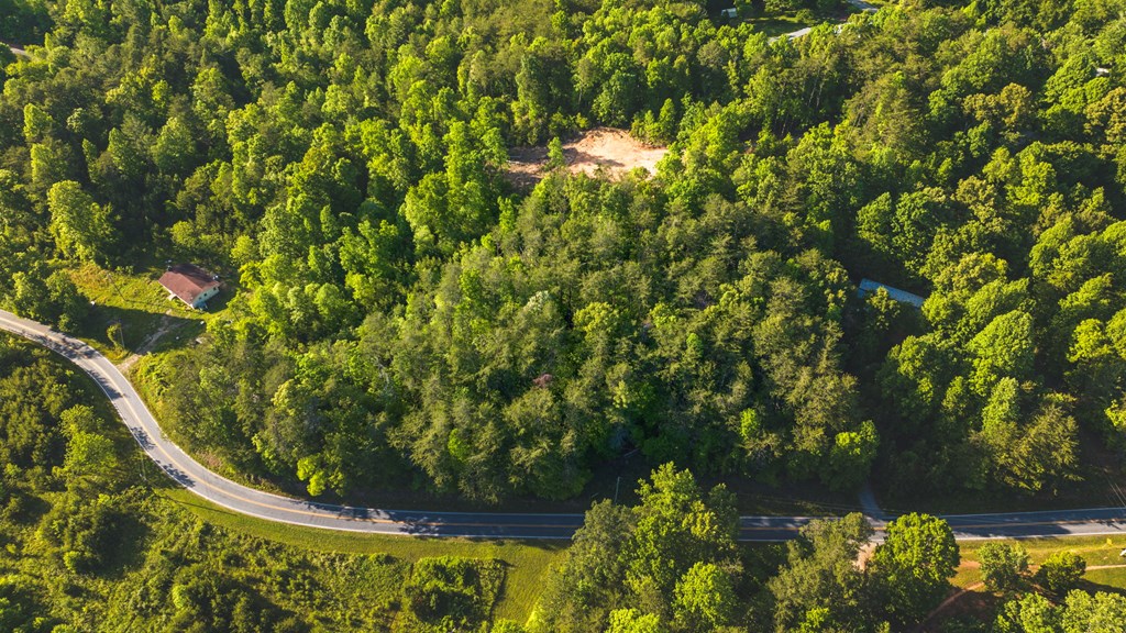 TR 3 W Gum Log Road