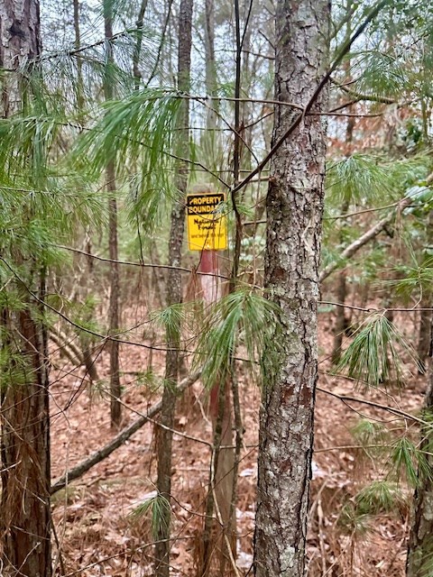 Lot 48 The Sanctuary