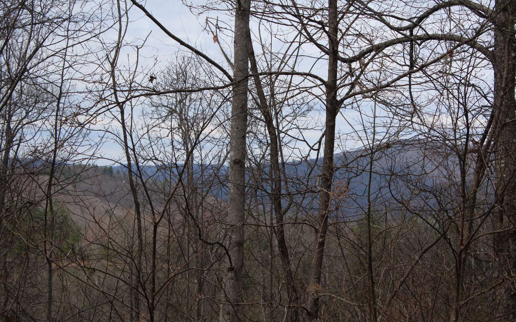 27&28 N Ridge High Meadows