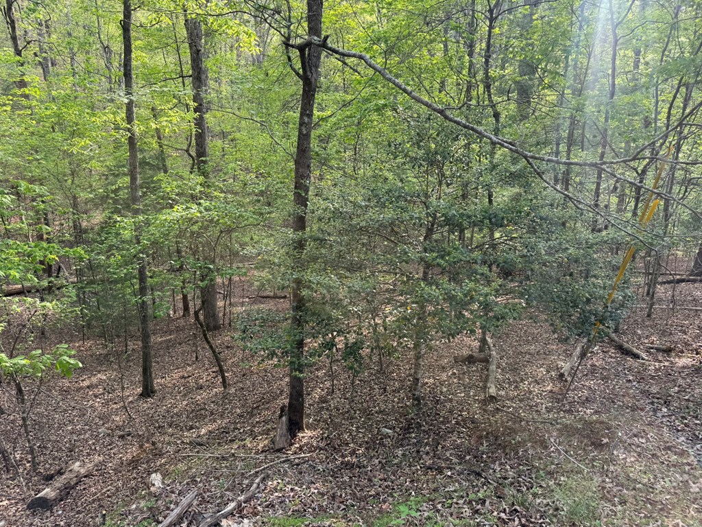Lot 1188 Gibe Court