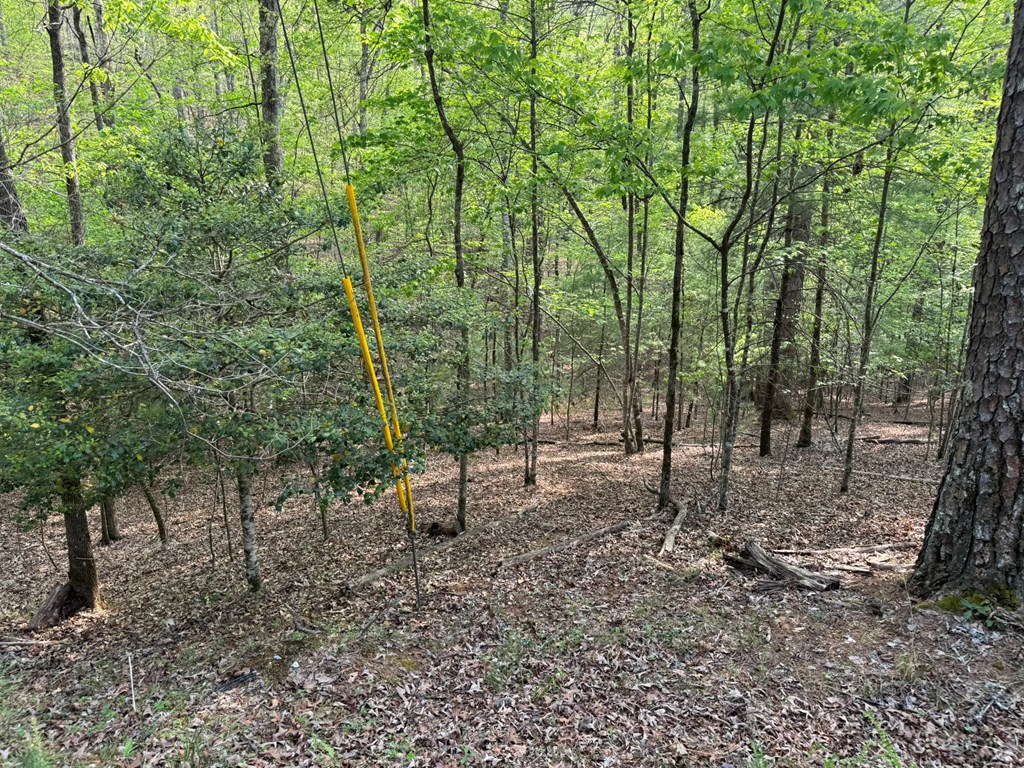 Lot 1188 Gibe Court