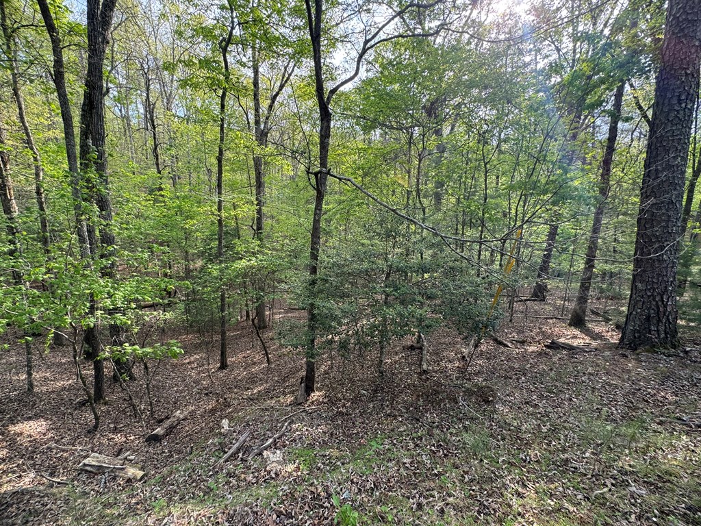 Lot 1188 Gibe Court