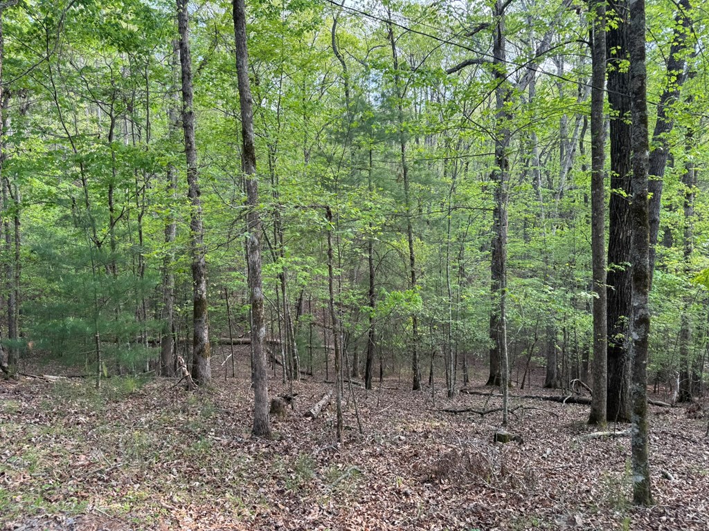 Lot 1188 Gibe Court