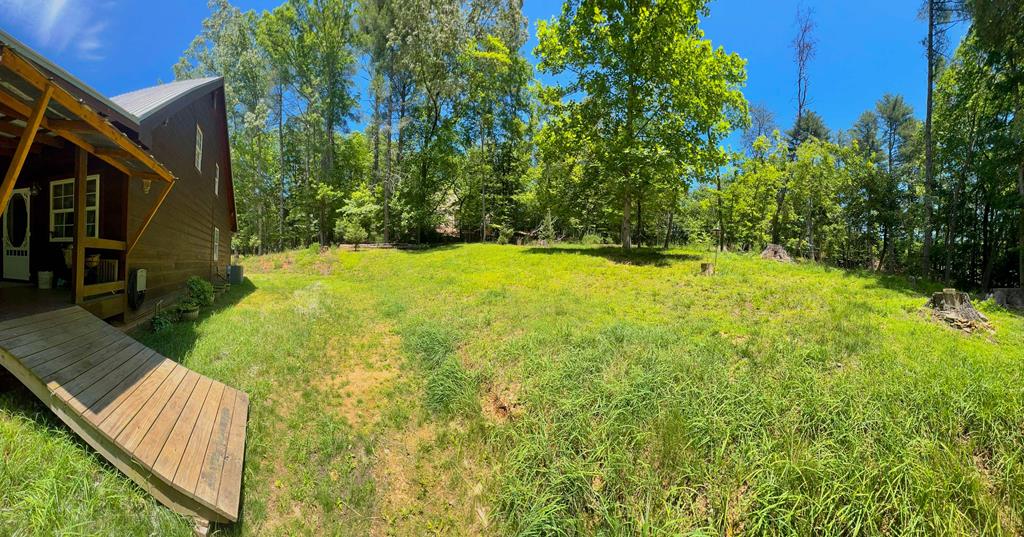515 Toccoa River Forest