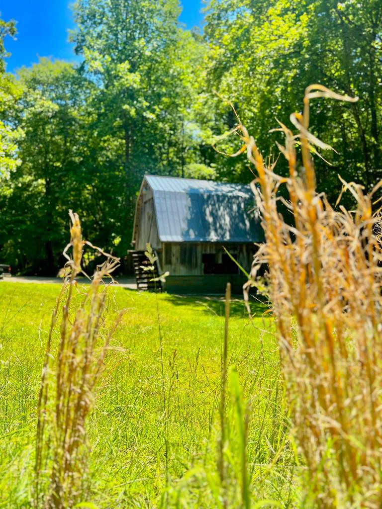 515 Toccoa River Forest