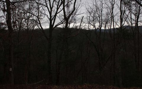 4 Thunder Road Hayesville NC 28904