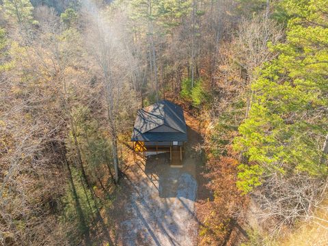 A home in Ellijay