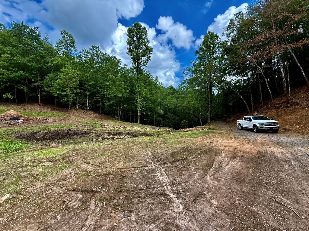 1443 Greasy Creek Road