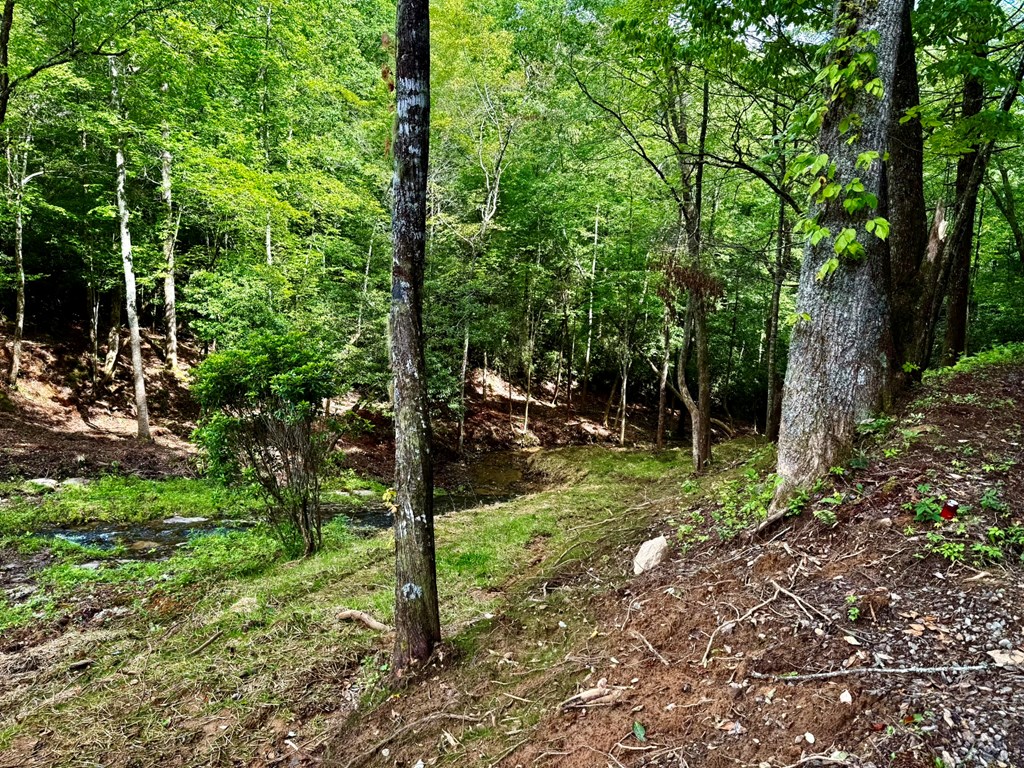 1443 Greasy Creek Road