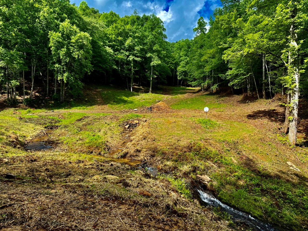 1443 Greasy Creek Road