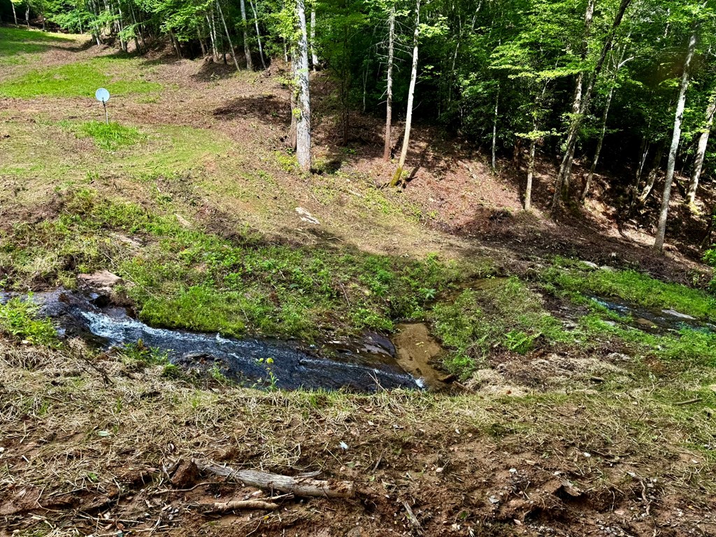 1443 Greasy Creek Road