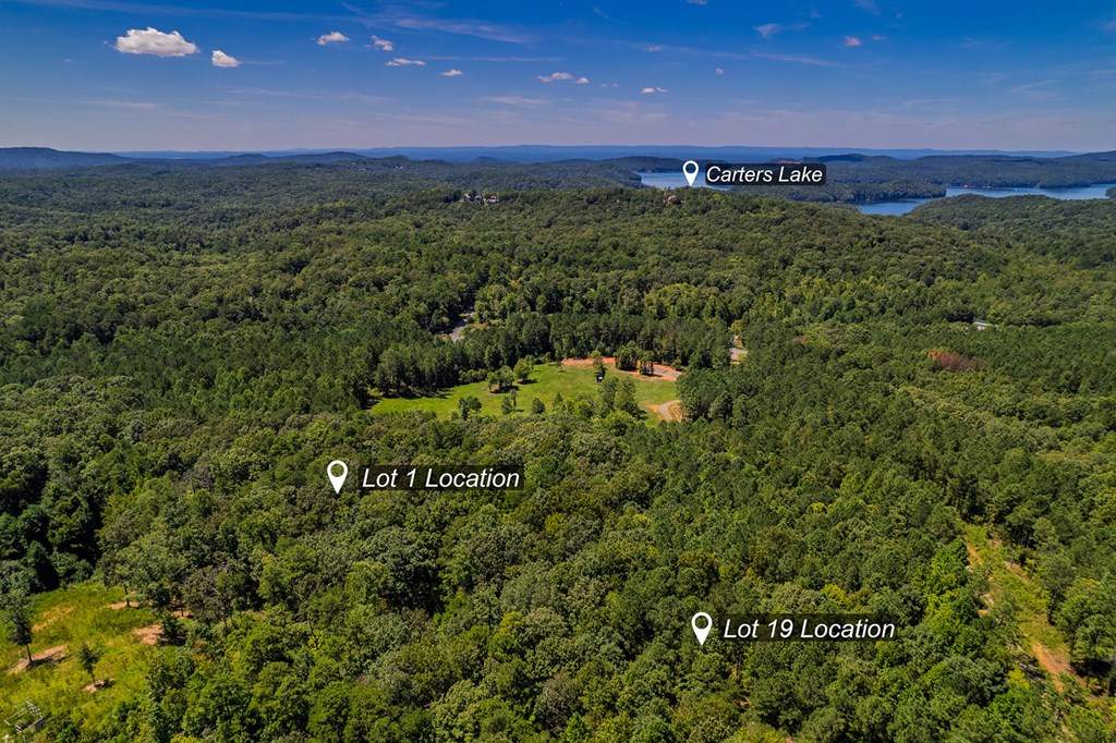 Lot 1 Harris Branch Road E