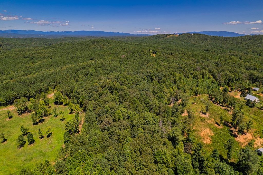 Lot 1 Harris Branch Road E