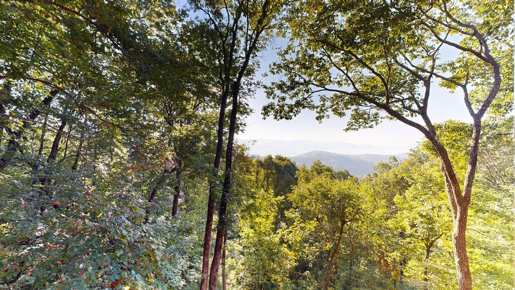 398 Mountain View Road