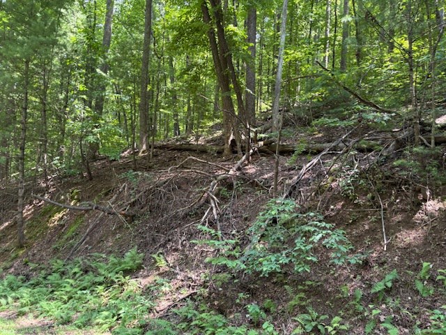 0 Mountain View Court