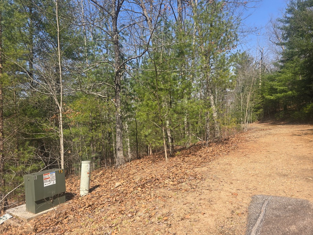 8 & 9 Up The Ridge Road