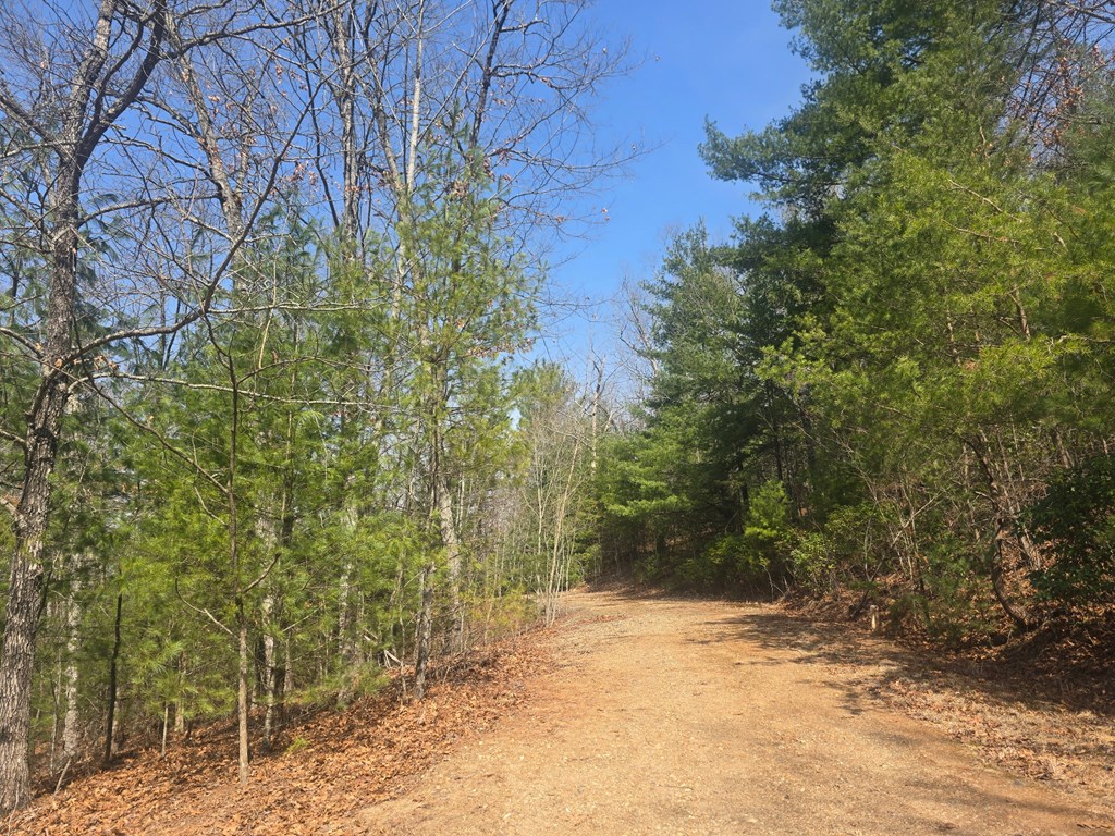 8 & 9 Up The Ridge Road