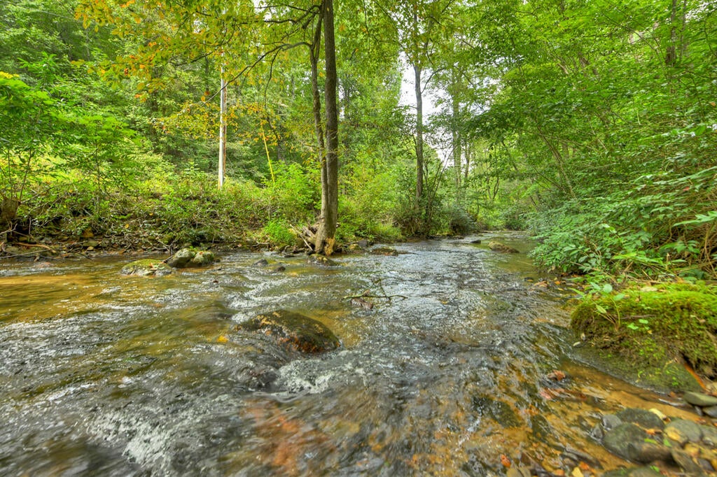 1821 Stanley Creek Road