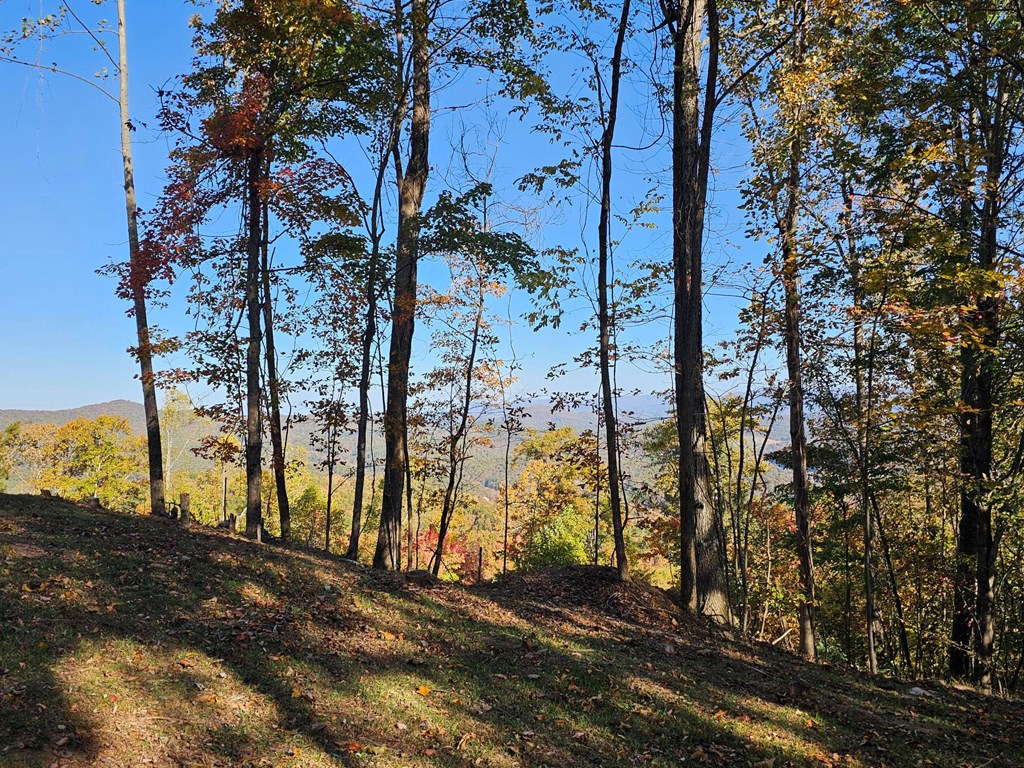 38 Trophy Buck Point