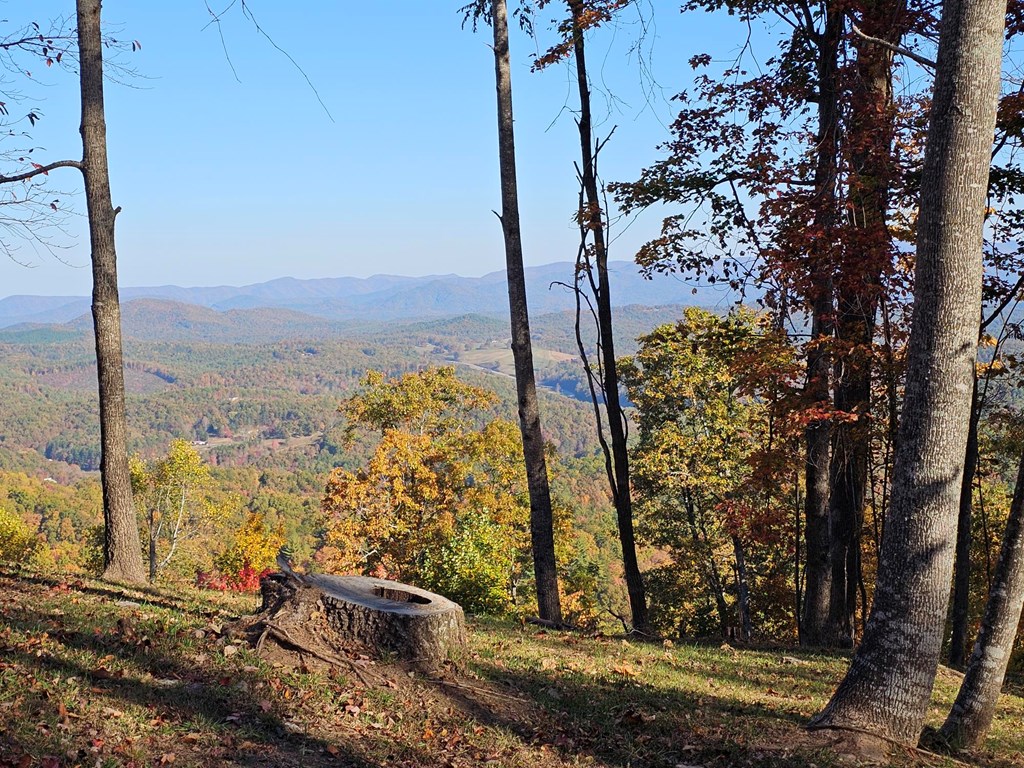 38 Trophy Buck Point