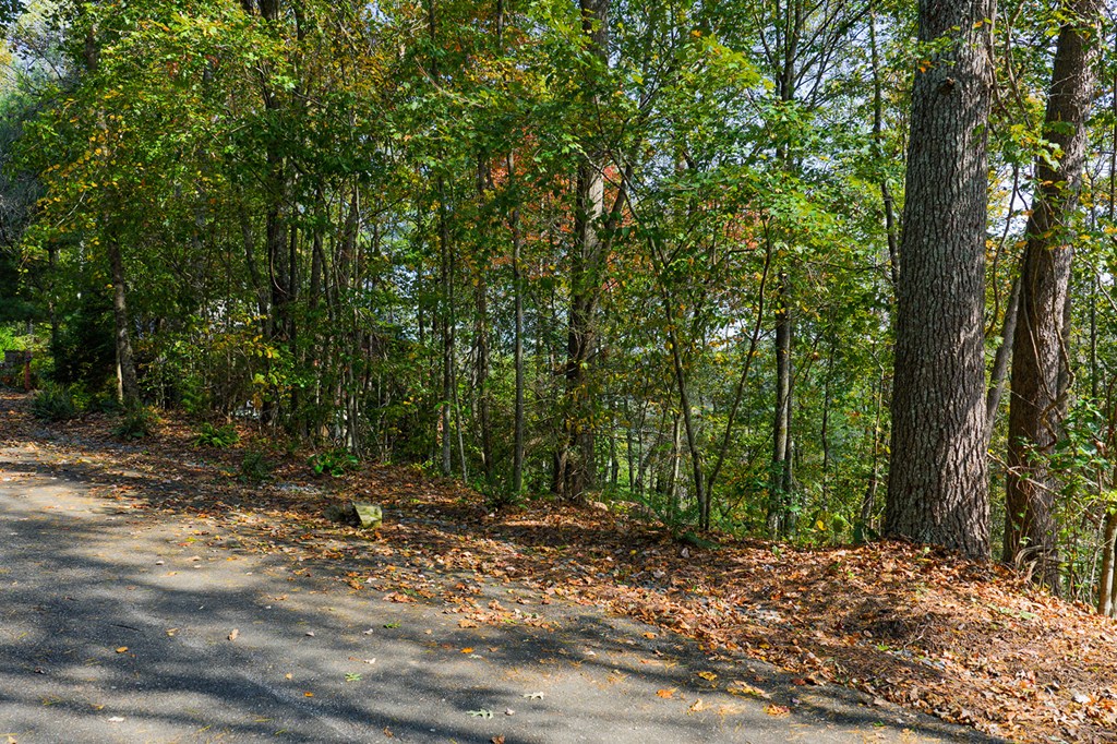 Lot 81 Lillie Drive