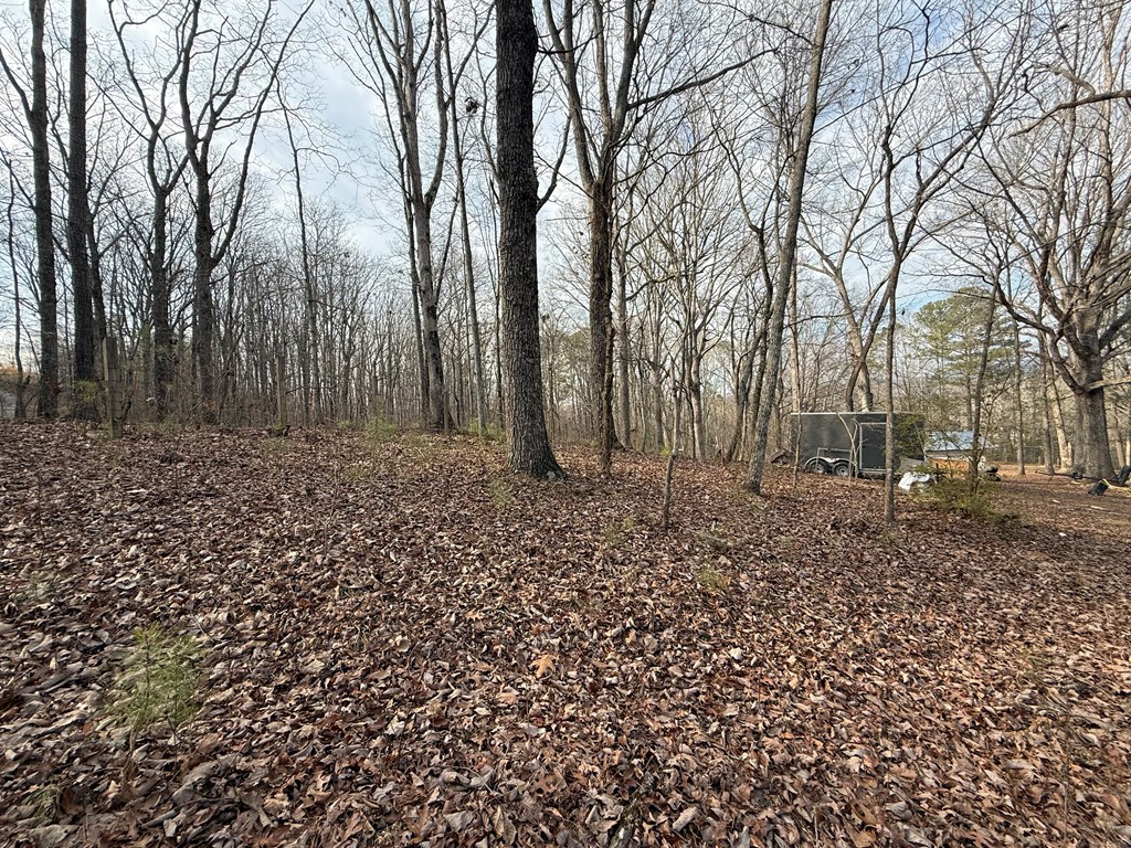 4445 Talking Rock Road