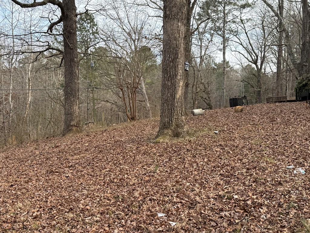 4445 Talking Rock Road