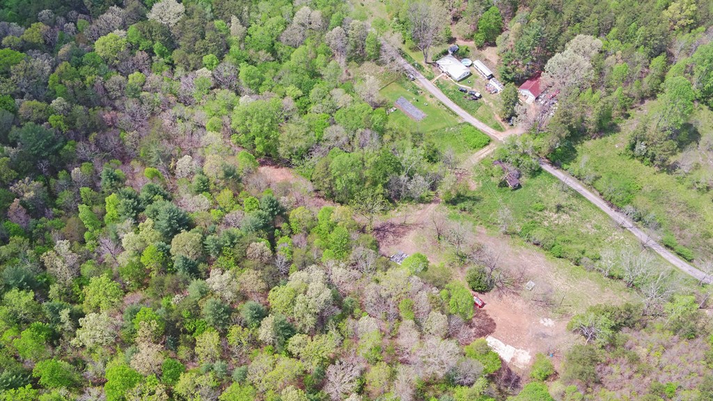 385 Elrod Circle